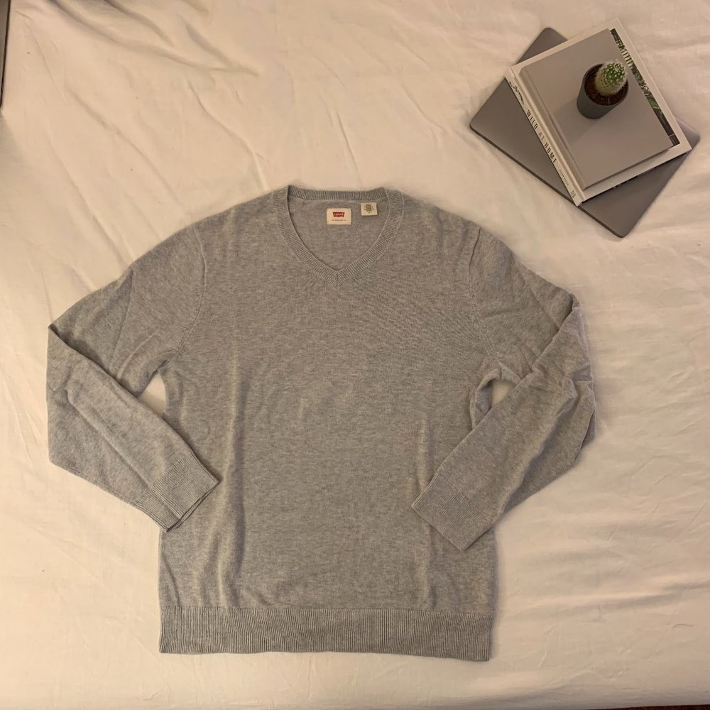 L Men's grey v-neck sweater